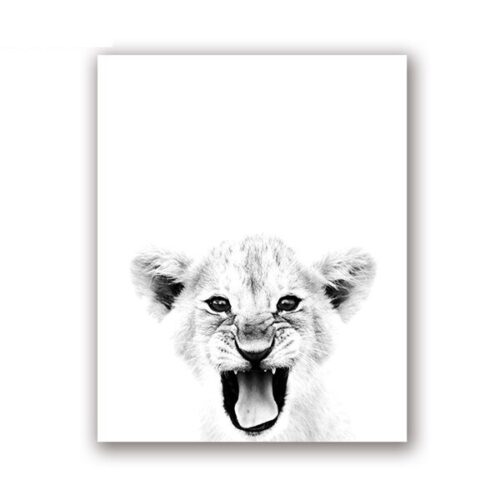 Affiche Noir et Blanc Bébé Lion