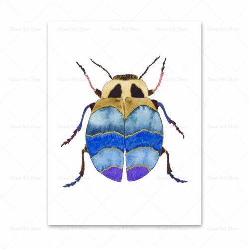 Poster Nature Insecte Bleu