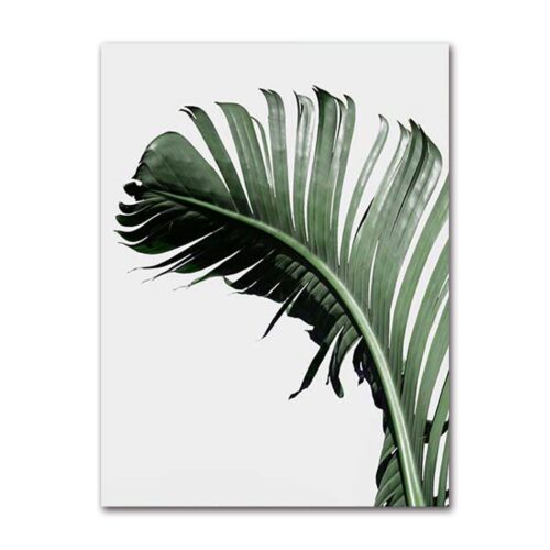 Poster Nature Feuilles Plume