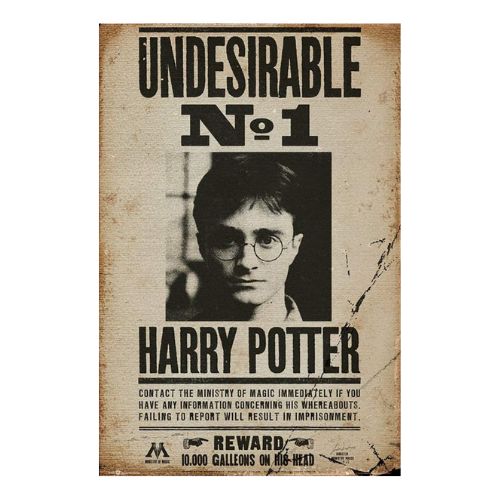 affiche wanted harry potter